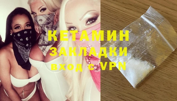 шишки Пестово